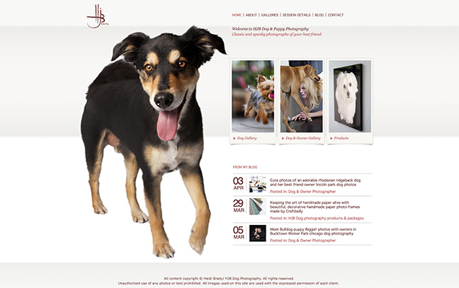 screenshot of HJB Dog and puppy photography by Heidi Brady